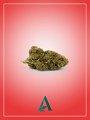 Cima cannabis legale Therapy