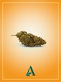 Cima cannabis legale Tonic Haze