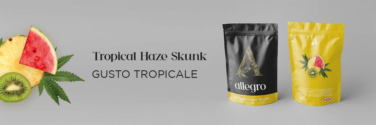 Tropical Haze Skunk sapore tropicale