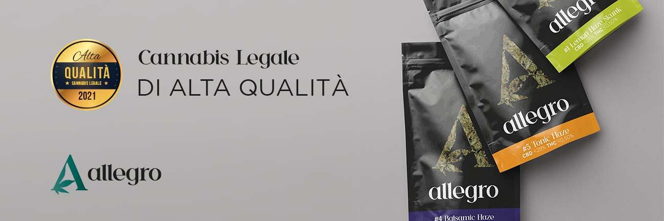 Cannabis legale di alta qualità