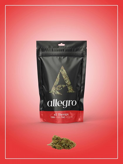 Allegro Therapy