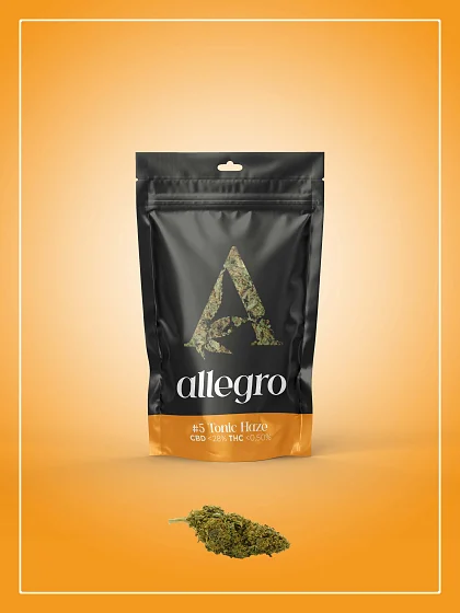 Allegro Tonic Haze
