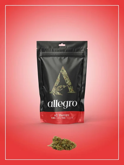 Allegro Therapy