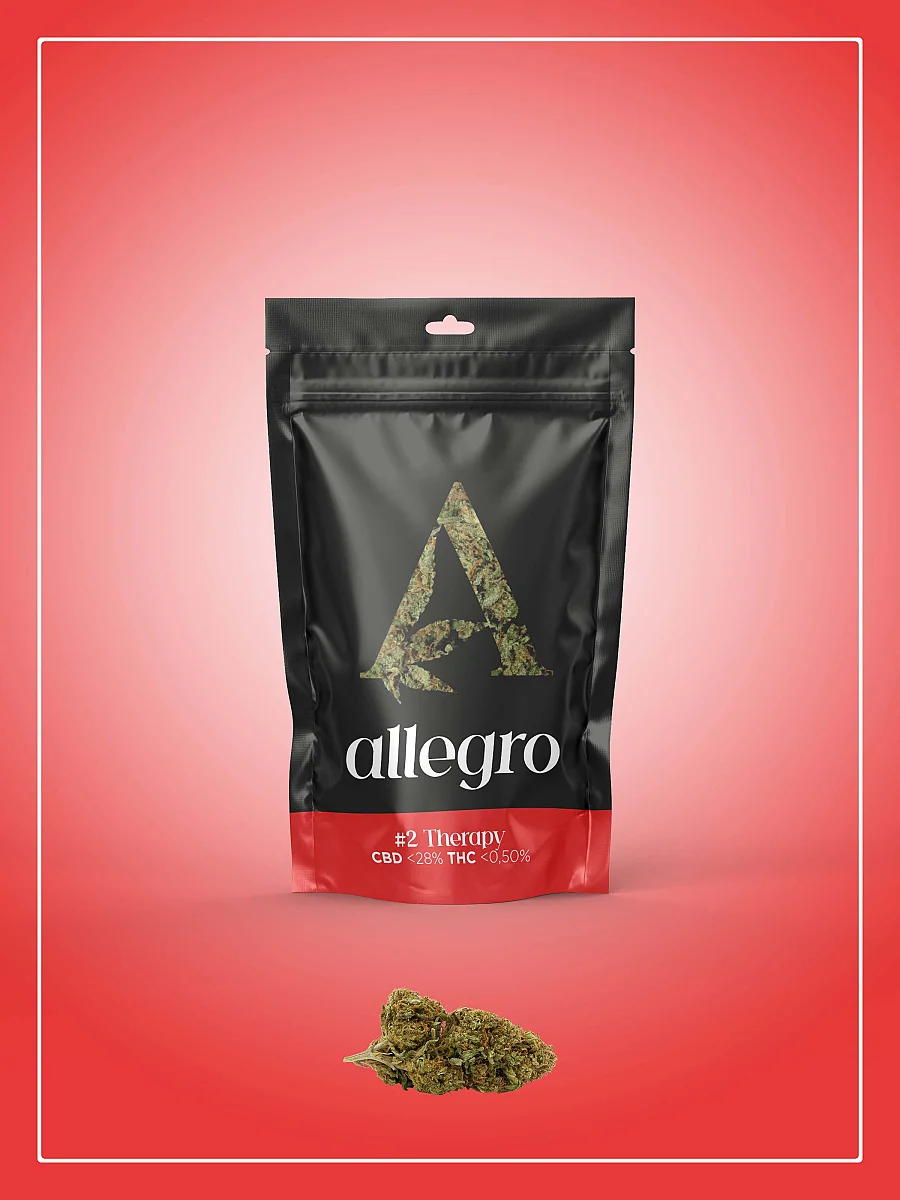 Allegro Therapy